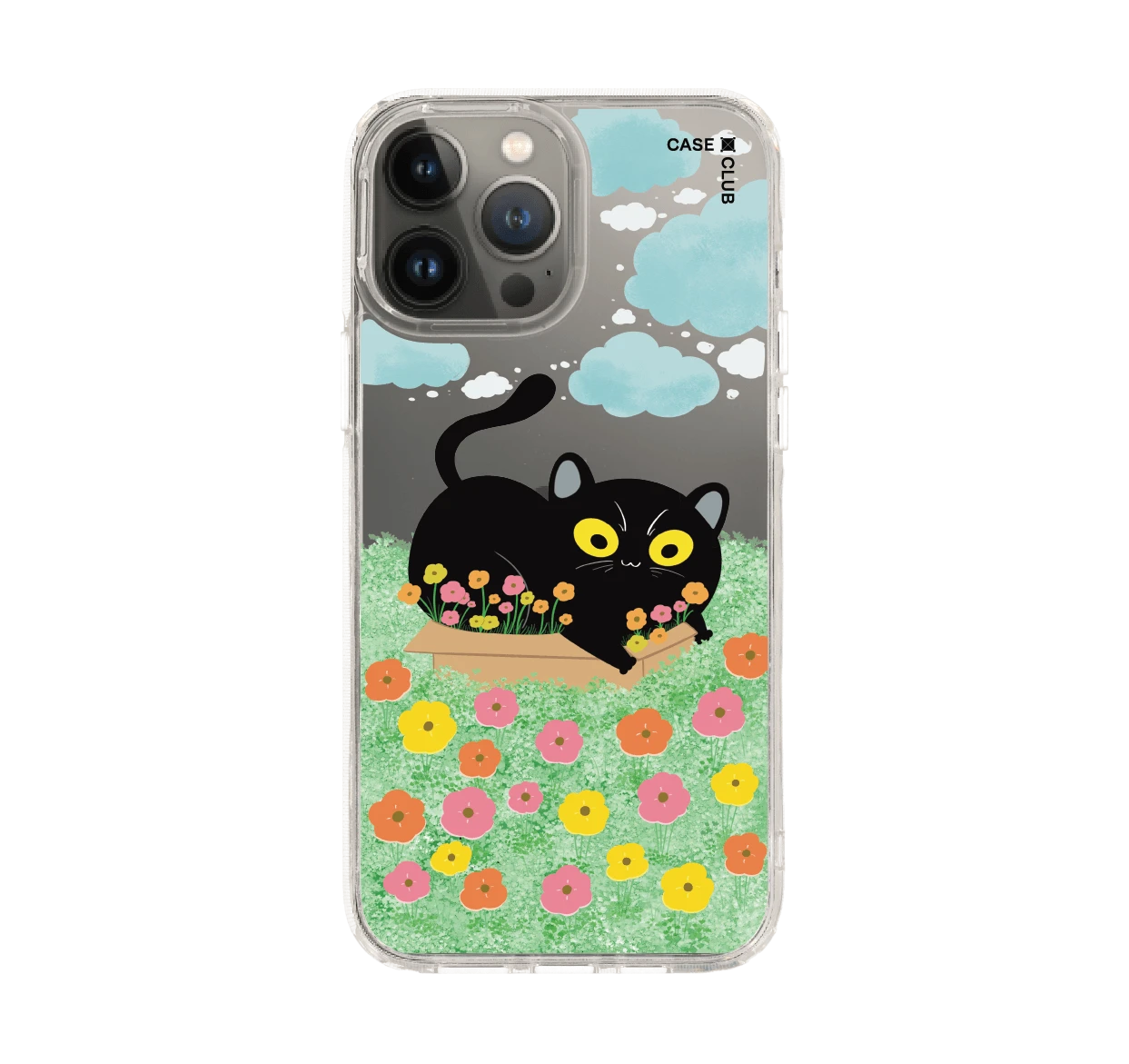 สวนดอกไม้ของแมวดำ